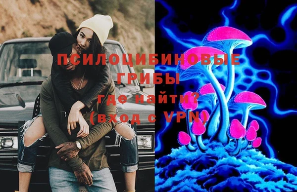 эйфоретик Баксан