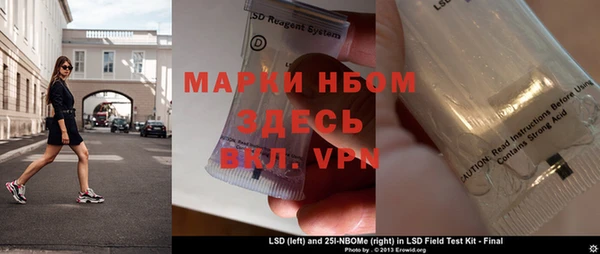 сатива Балахна