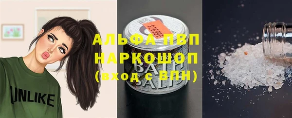 эйфоретик Баксан